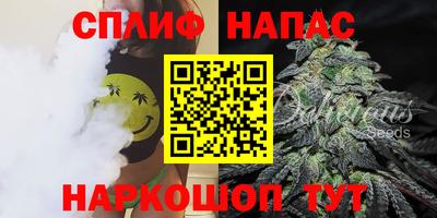 бошки Дубна