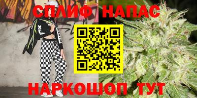 бошки Дубна