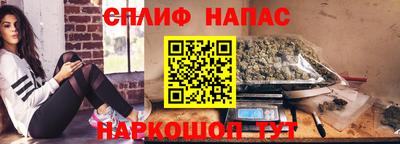 бошки Дубна