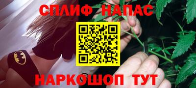 бошки Дубна